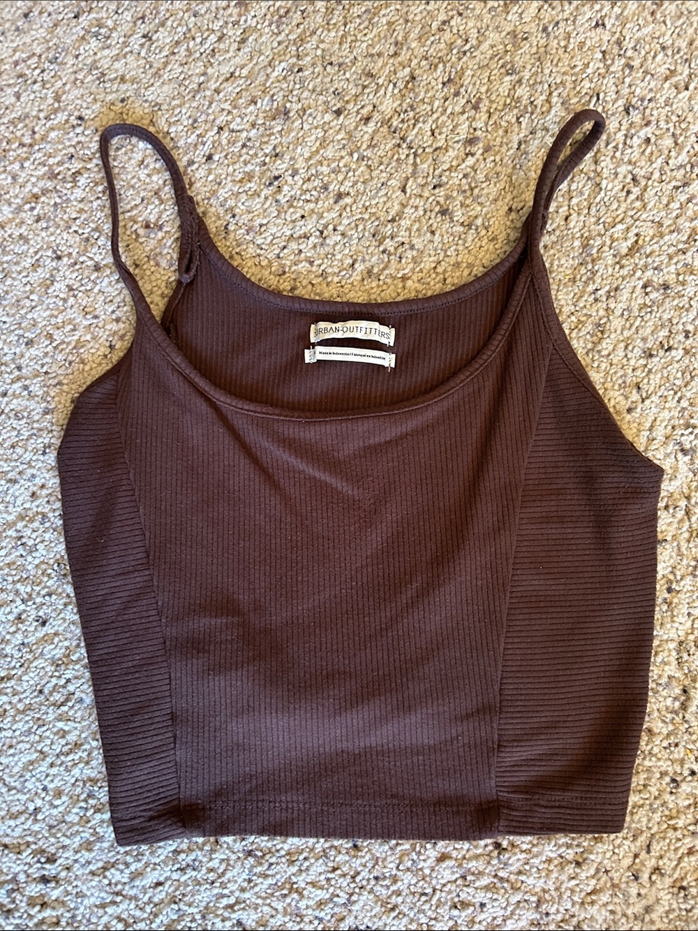 Urban Outfitters Chocolate Brown Ribbed Cropped Camisole
